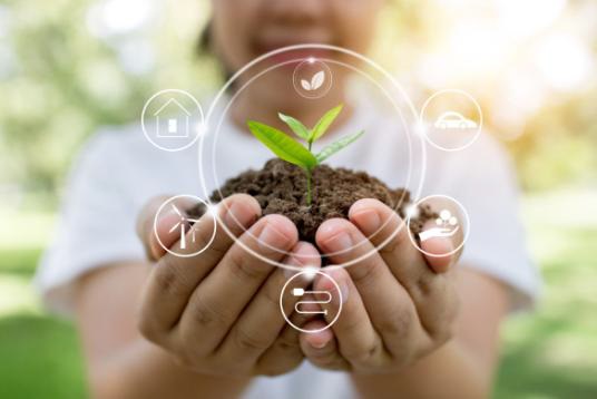 Read more about the article ADVANTAGES OF THE ROMANIAN AGRO-ECOLOGY STANDARD – Organic agriculture. Requirements and recommendations for environmentally sustainable products -May 26, 2022, 10:00, hybrid event-