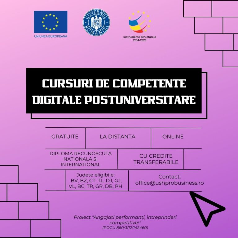 Read more about the article Organizare cursuri competente digitale (POCU/860/3/12/142460)