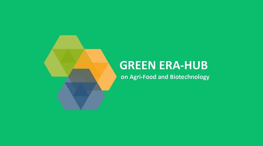 Read more about the article The 1st call of the Green ERA hub is now open!