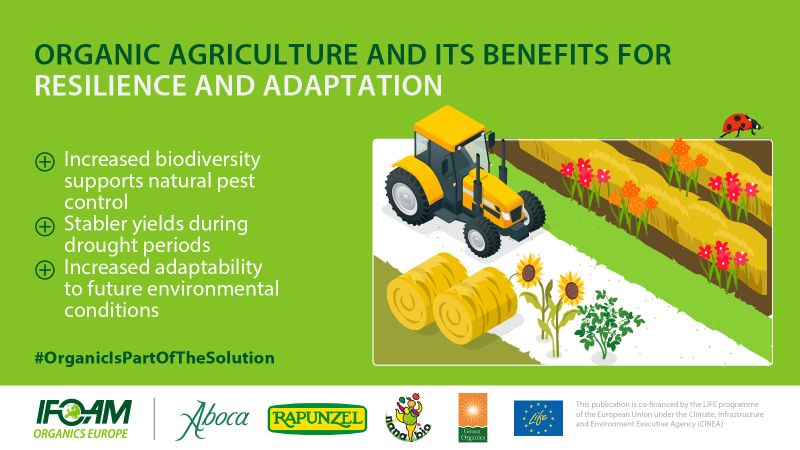 Read more about the article ClimateChange și evenimentele meteorologice extreme au un impact asupra producției agricole din jurul 🌍