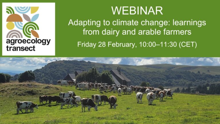 Read more about the article Adapting to climate change: learnings from dairy and arable farmers