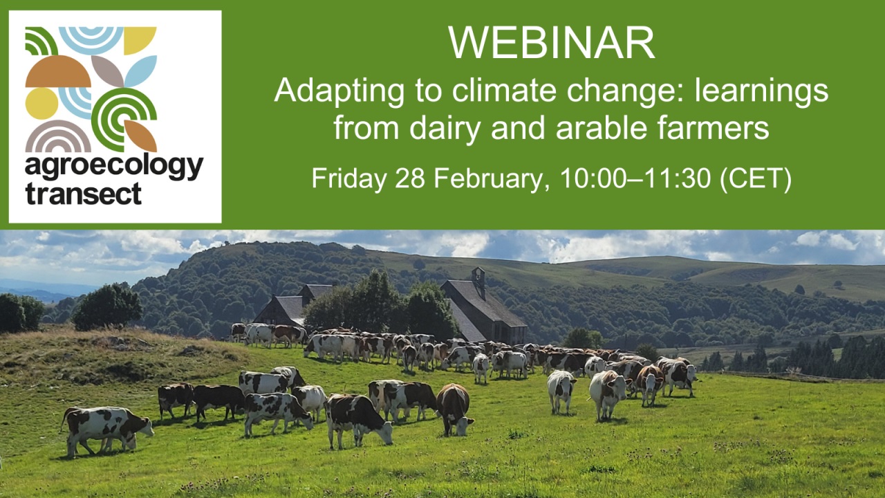 You are currently viewing Adapting to climate change: learnings from dairy and arable farmers