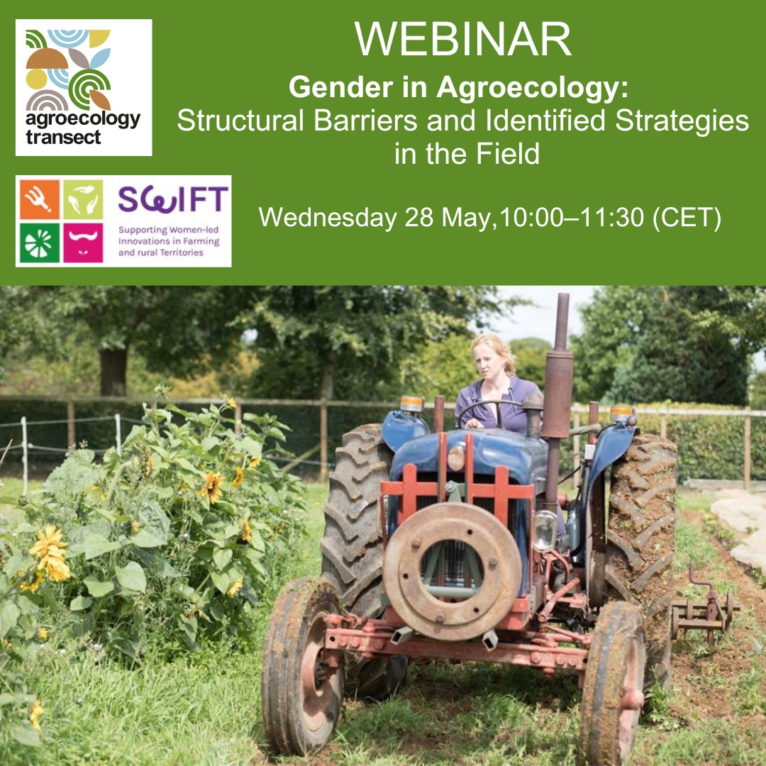 Read more about the article Webinar: Bariere Structurale și Strategii din Practică – 28 mai 2025 / Online