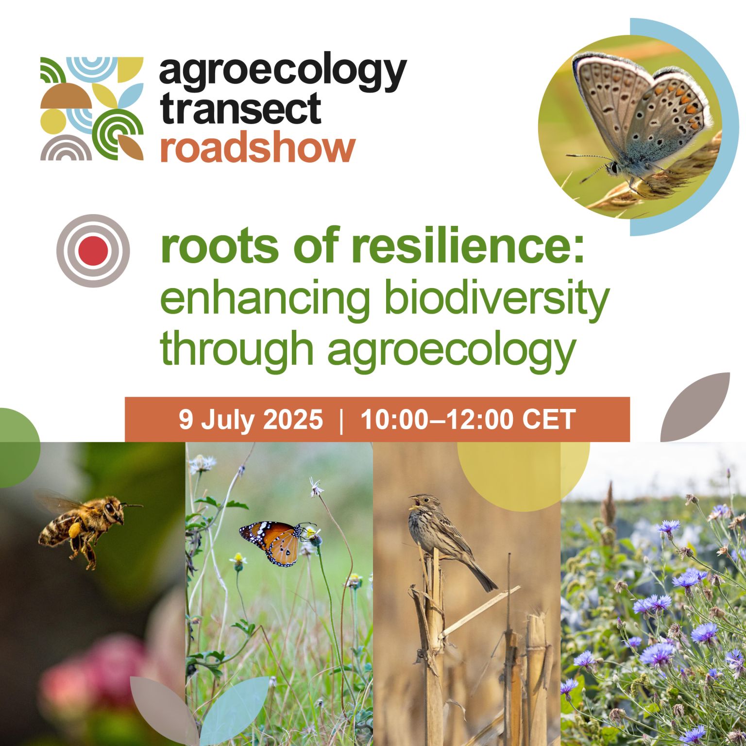 Read more about the article 📣 VirtualRoadshow Agroecology-TRANSECT – 9 iulie 2025 -10:00–12:00 (CET)