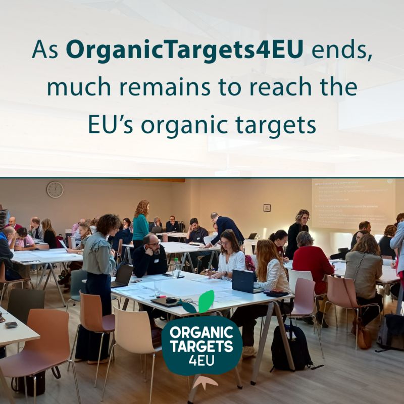 Read more about the article Proiectul OrganicTargets4EU se apropie de final,